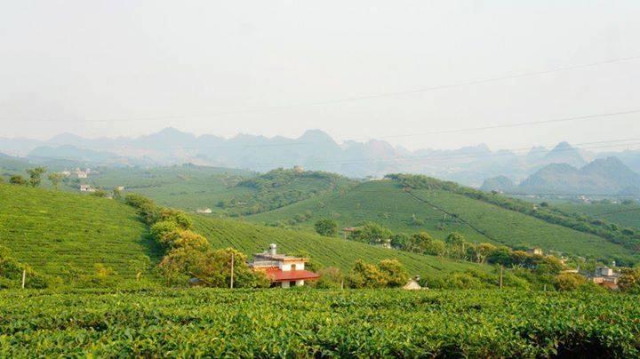 Homestay Moc Chau Extérieur photo